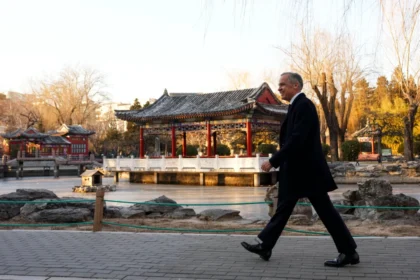 id5972335 cp175633455 1080x720